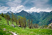 Val d'Aosta - Escursione da Bard ad Arnard. Alpeggio di Verale, (1215 slm).